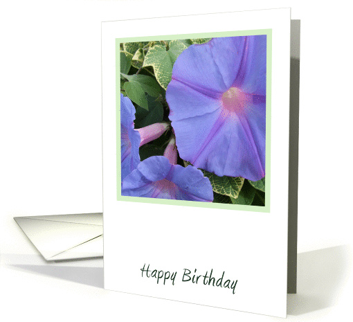 Morning Glory Flowers Birthday card (898152)