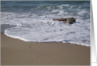 Seashore All Occasion card