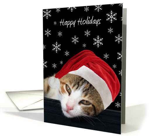 Happy Holidays, Cat  in Santa Hat, Snowflakes card (971111)