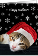 Happy Holidays, Cat in Santa Hat, Snowflakes card