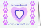 In remembrance of pet on Anniversary card