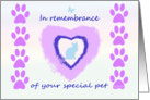 In remembrance of cat on Anniversary card