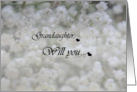 Grandaughter ,Will you baby’s breath Flower girl card