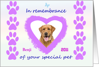 Custom Photo of Special Pet on Anniversary of death card