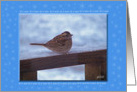 Let it Snow 6 card