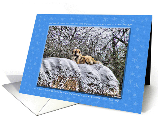 Let it Snow 6 card (323314)