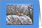 Let it Snow 6 card