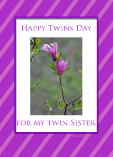 For my Twin Sister...