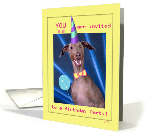 Doggie Birthday party invitation card (829501)