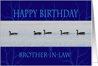 Happy Birthday brother-In-law flock card