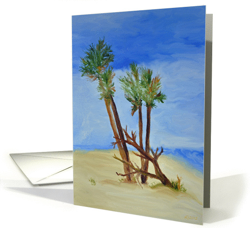 St. Augustine Palms card (906244)