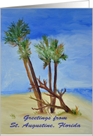 Greetings from St. Augustine Florida Palms card