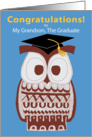 Wise Owl Graduation Card - My Grandson card