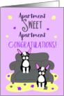 Congratulations on Your New Apartment with Boston Terrier Dogs card