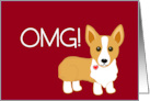 New Dog With Pembroke Welsh Corgi card