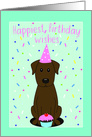 Happiest Birthday Wishes Chocolate Lab card
