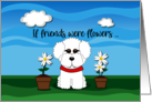 Bichon Frise with Daisies Friendship Quote card