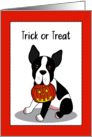Boston Terrier with Jack O’ Lantern for Halloween card