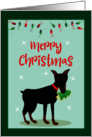 Miniature Pinscher Merry Christmas Blank Inside card