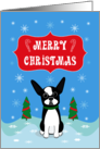 Boston Terrier Merry Christmas card
