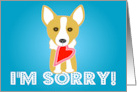 Corgi Dog with Heart I’m Sorry card