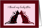 Cats Thankful For Love card