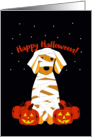 Golden Retriever Happy Halloween with Pumpkins card