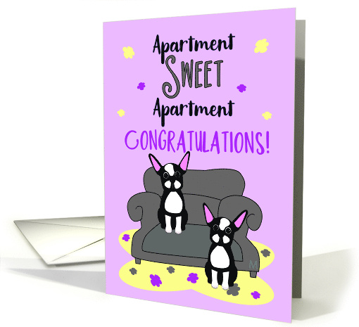 Congratulations on Your New Apartment with Boston Terrier Dogs card