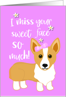 Miss You Pink Corgi Dog Card For Girls card