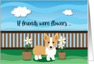 Corgi Dog with Daisies Friendship Quote card