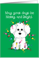 Bichon Frise Christmas Quote with Holiday Lights card