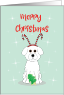 Bichon Frise Merry...