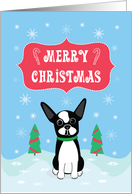 Boston Terrier Merry Christmas card