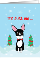 Chihuahua Merry Christmas card