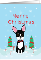 Chihuahua Merry Christmas with Candy Canes and Snowflakes card