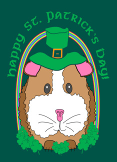 Brown Guinea Pig with Rainbow and Shamrocks Happy St. Patrick's Day