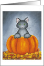 Kitty in Pumpkin card