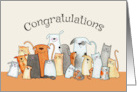 Congratulations on your New Pet card