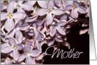 Mother’s Day for Mother Lilacs Card
