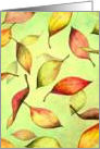 Falling Autumn Leaves Card