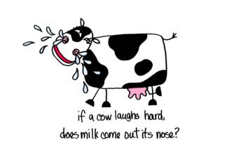 Laughing Cow -...