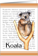 Koala - Zoo Invitation card