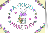 A Good Hare Day...