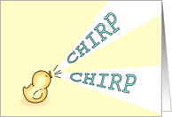 Chirp Chirp says...