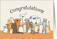 Congratulations on your New Pet card