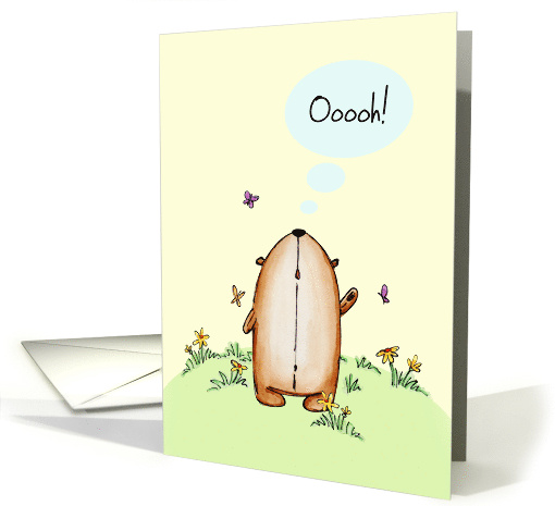Teddy Bear Standing Outside Looking Up in Awe Congratulations card