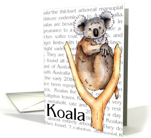 Koala Illustration card (602164)