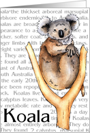 Koala Illustration card