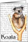 Koala Illustration card