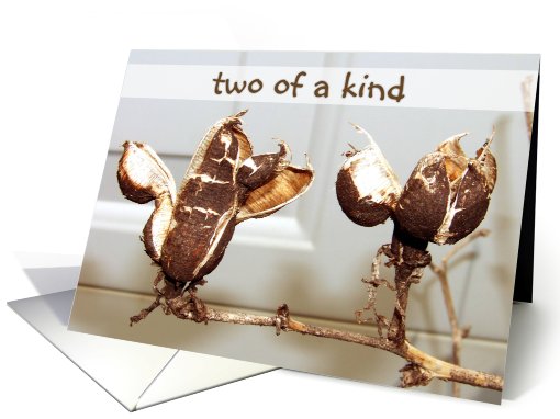 Two Of A Kind Pods card (608722)
